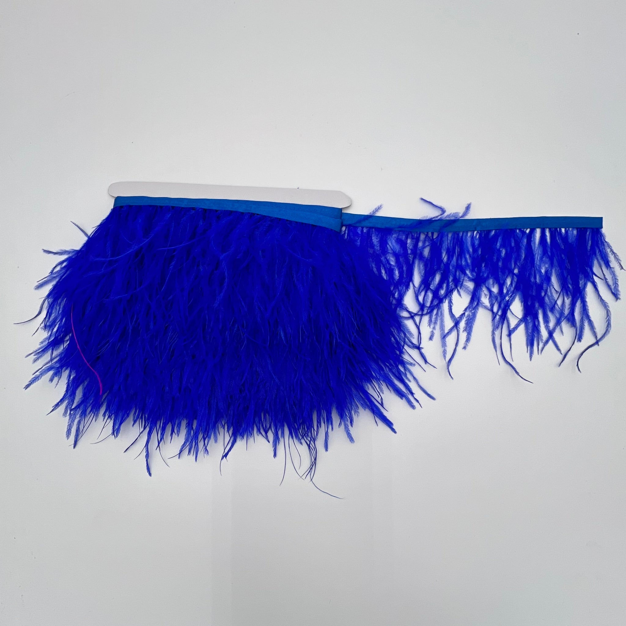 Ostrich Feather Trim Packs (10 yards) – DFW FABRIC MART