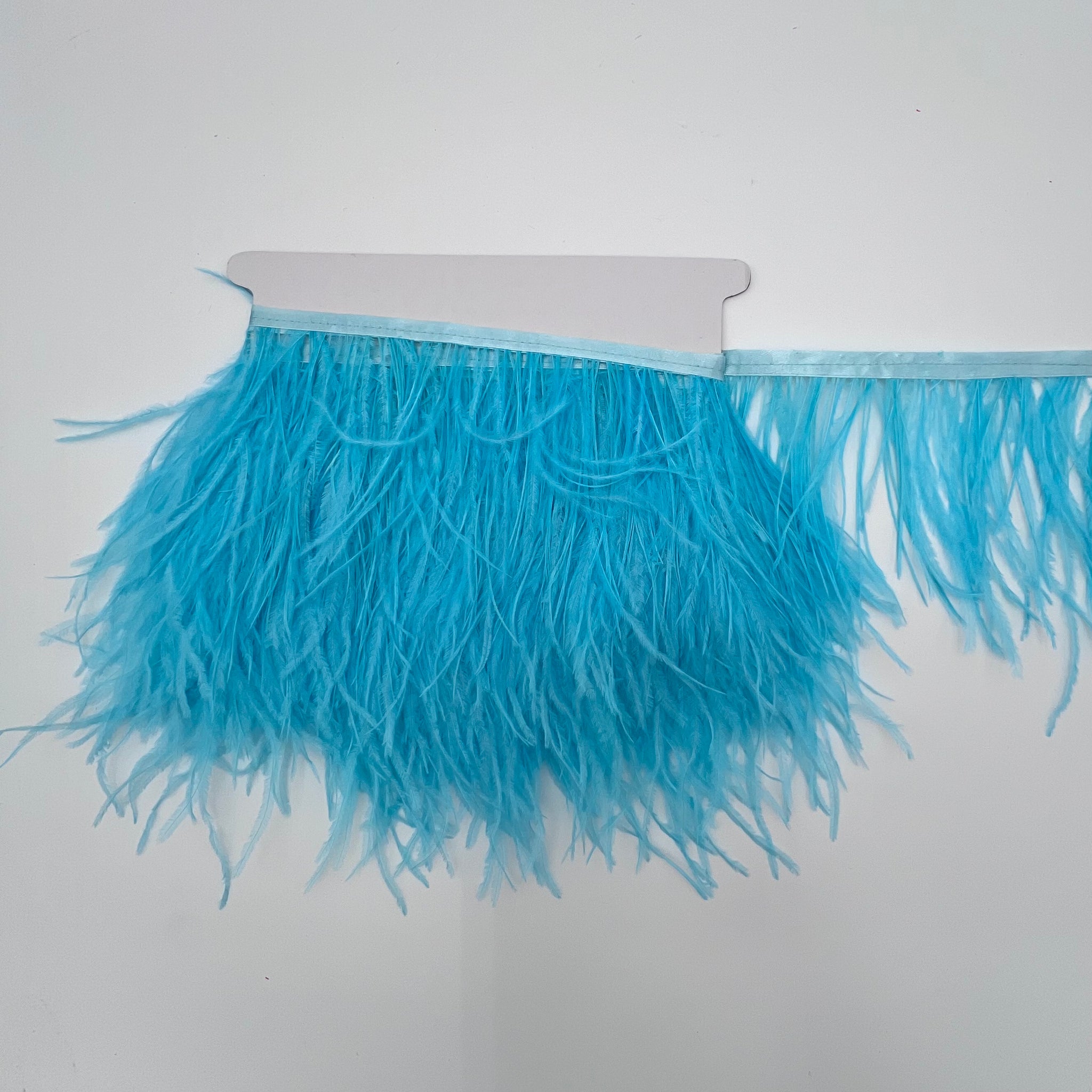 Ostrich Feather Trim Packs (10 yards) – DFW FABRIC MART